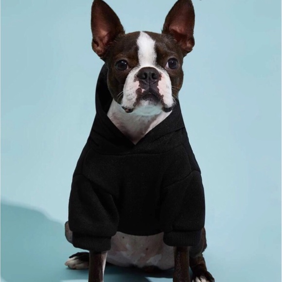 SOLD Dog Hoodies or Cat - Picture 4 of 6